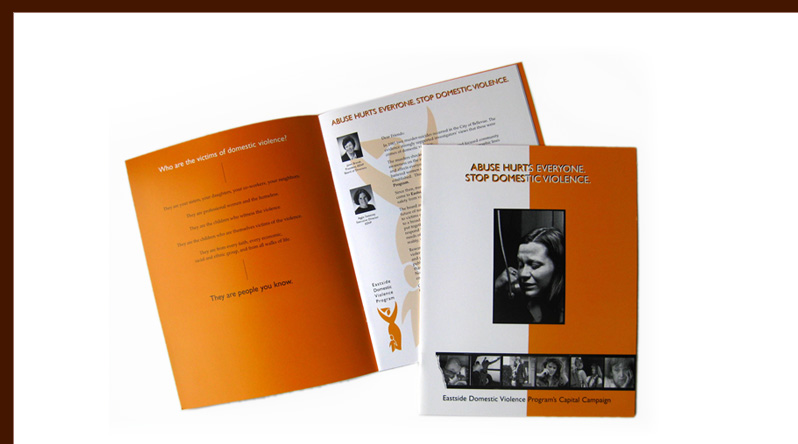 EDVP brochure