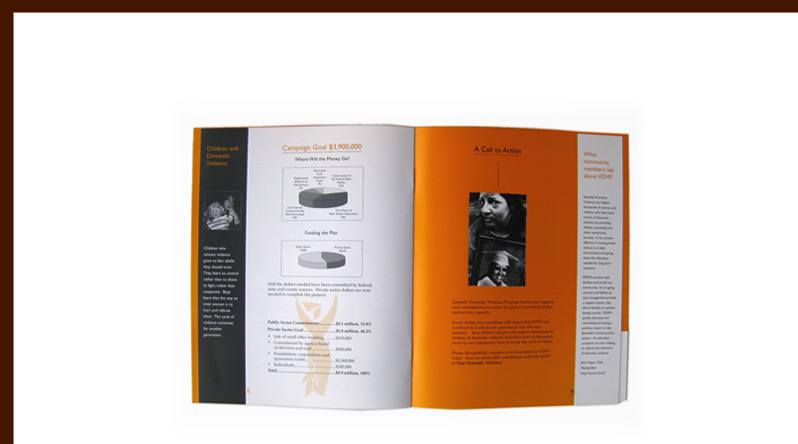 EDVP brochure