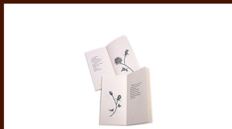 Life Seasons book illustrations