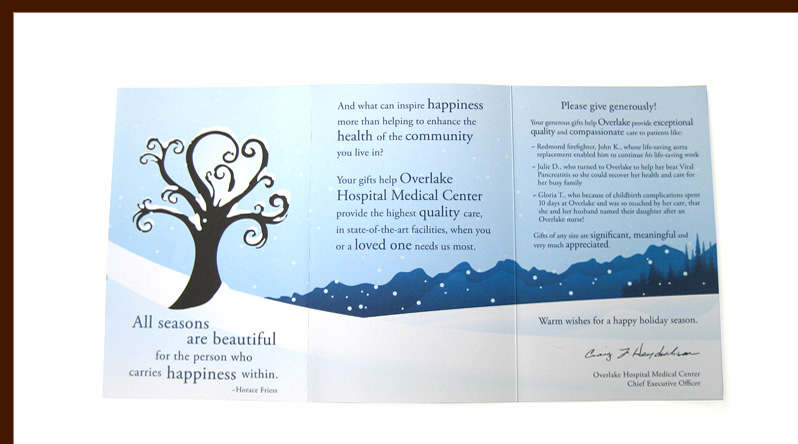 Overlake mailer illustration