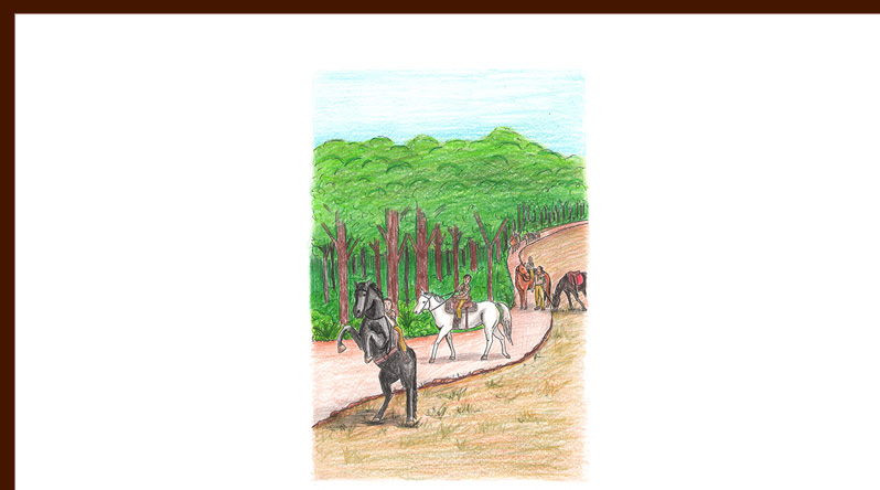 Papa Tales Illustrations